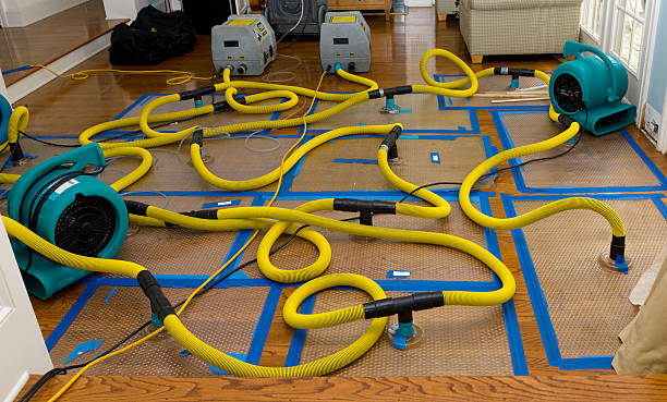 Professional Water Damage Restoration technician working in Hale Center, TX